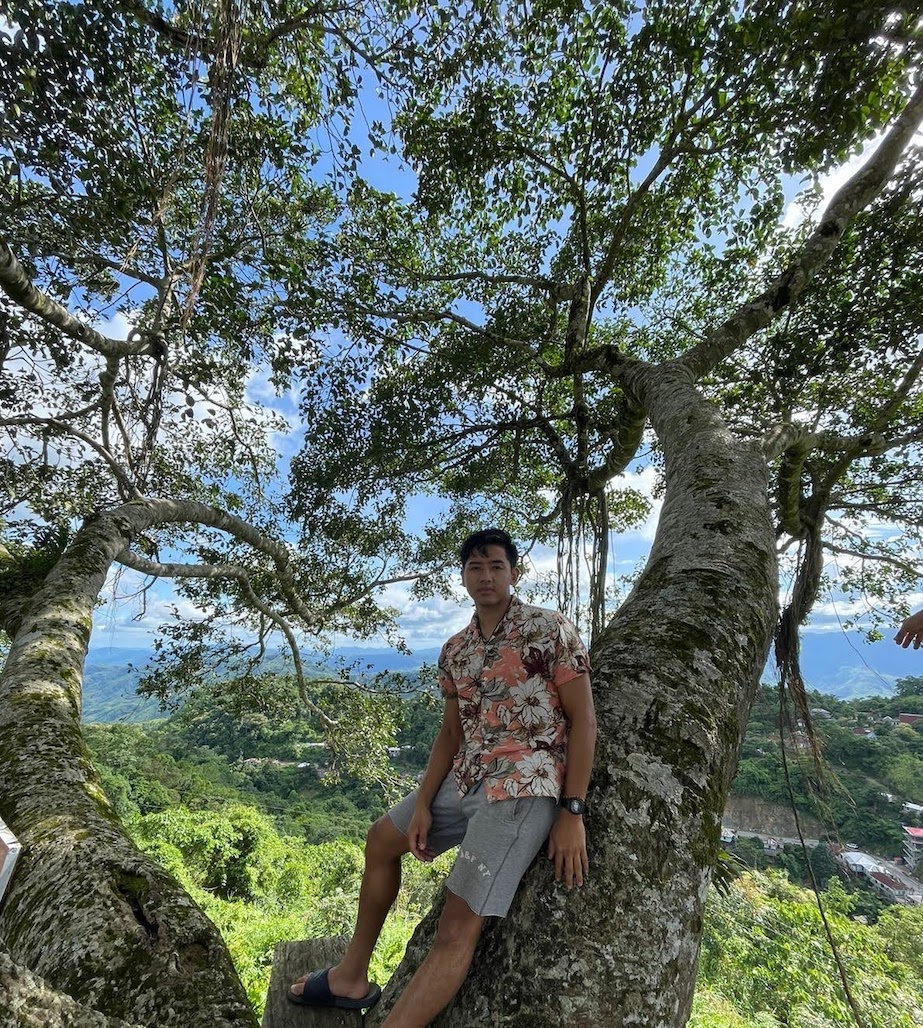 Buarpui tree picture