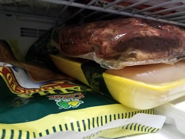 1 meal a day for 30 days