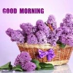 good morning
