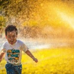chasing happiness