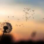 unsplash Free