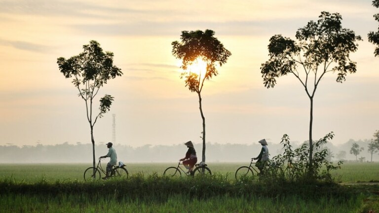 asia sunset bicycle