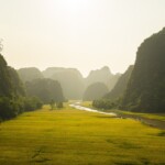 rice fields