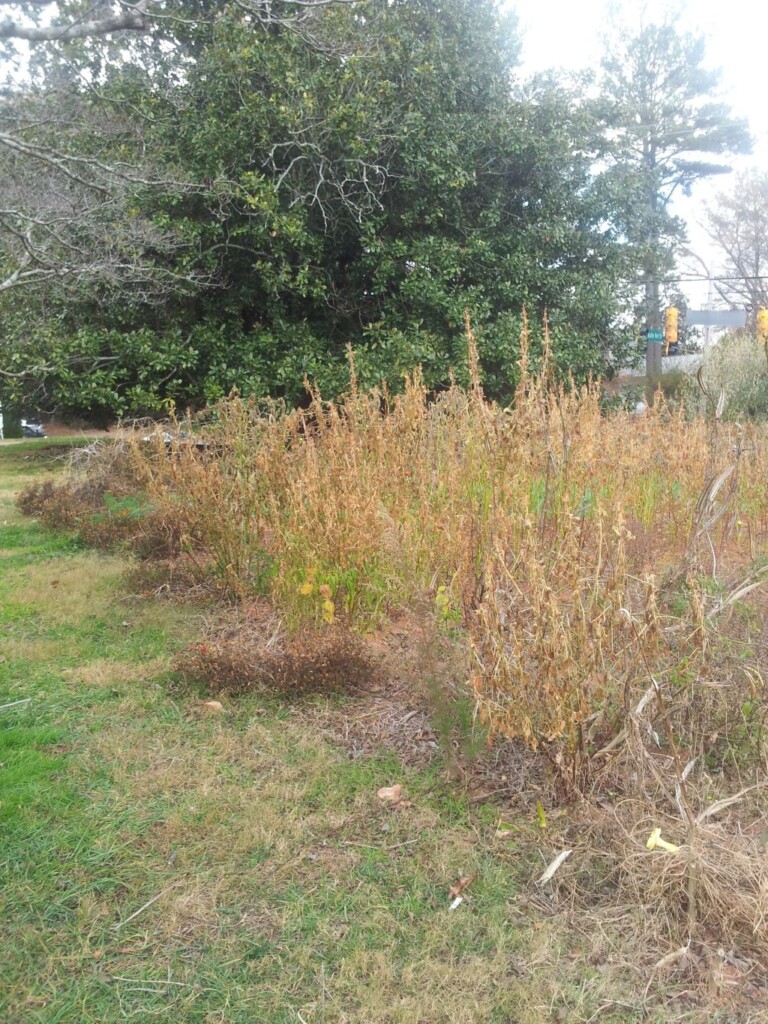 crops outside cpc